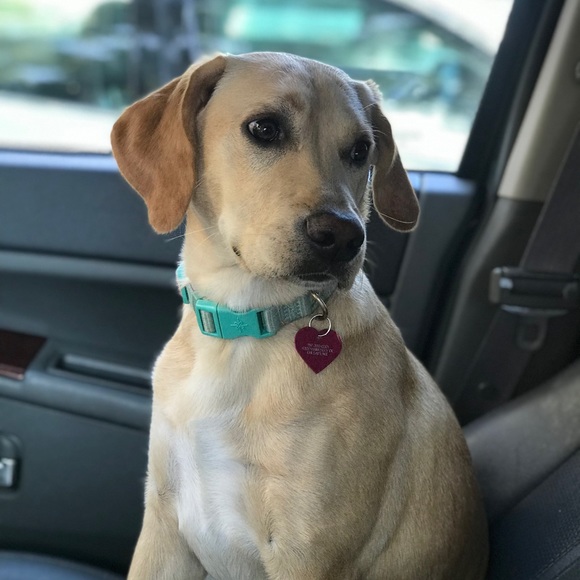 Meet your Posher, Heather - Picture 6 of 8